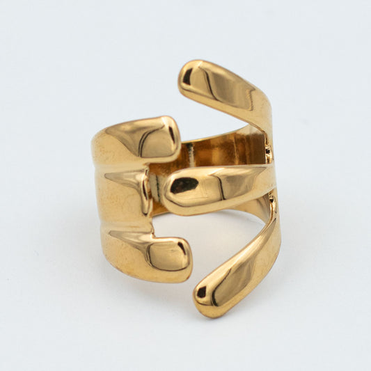 ANILLO HIKARI