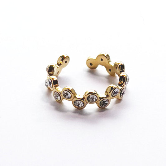 ANILLO SHANI