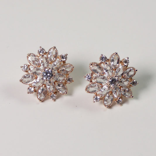 ARETES BRUMA