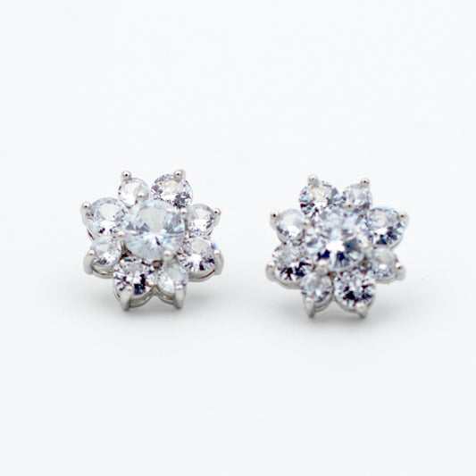 ARETES ORQUÍDEA